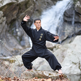 This is like slow, flowing dance moves done standing up. Practitioners shift their weight gently from one foot to the other, with smooth arm circles and turns. It feels like moving with the wind. Practitioners breathe calmly the whole time.